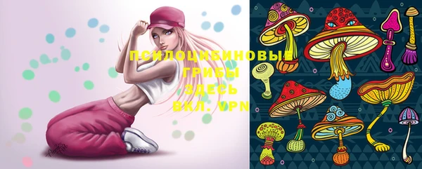 PSILOCYBIN Лиски