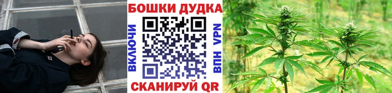 Конопля гибрид  Шумиха 